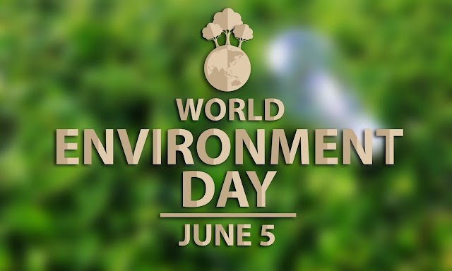 World Environment Day: Pollution impacting India’s Growth as Air Quality Drops in more Cities