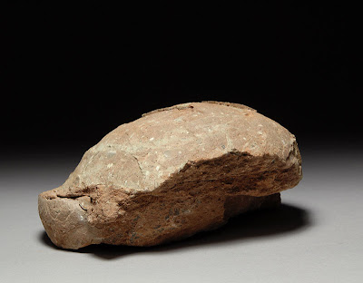   Prehistoric Fossilized Dinosaur Egg Hadrosaur Fossil