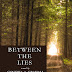 "Between the Lies" -- a Book Review