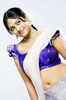 Meenakshi, spicy, hot, navel, photos