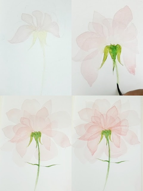 How to draw transparent flowers