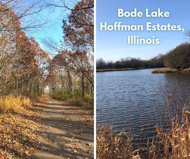 Late Fall Amble at Bode Lake in Hoffman Estates, Illinois