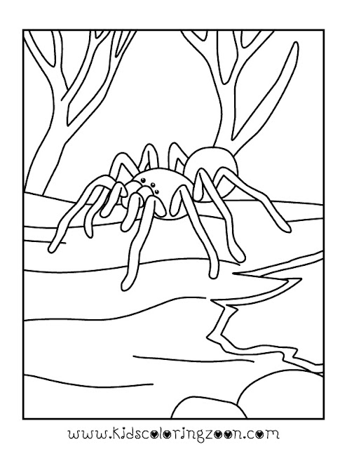 Free Spider Coloring Pages For Kids
