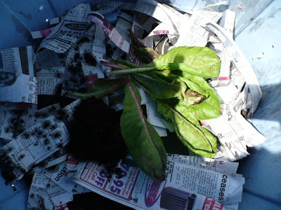 layer a homemade compost tumbler