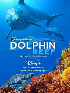 فيلم Dolphin Reef 2020 مترجم