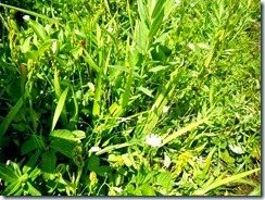 DSCN0576