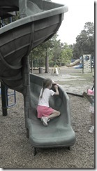 DSCN0330