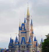 Disney world Castle (walt disney world castle )