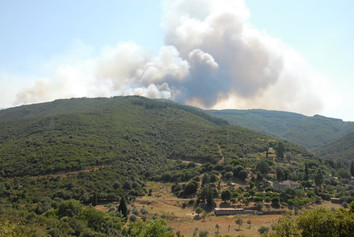 Φωτιά στη Βελβίνα 2008