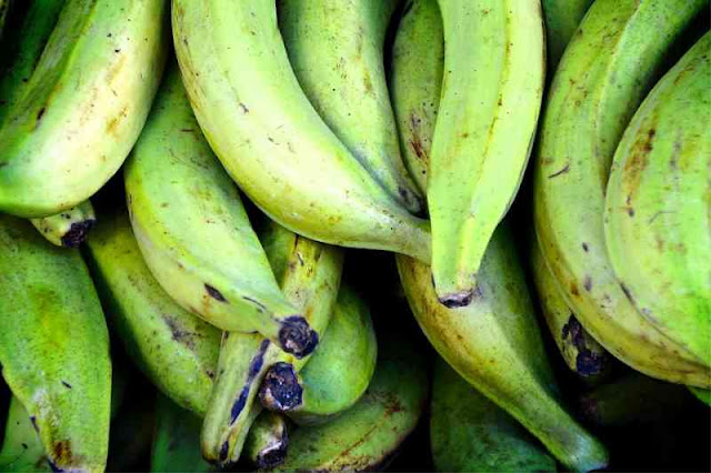 الموز الاخضر البنان الاخضر فوائد الموز