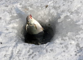 Фото Укринформ: зимняя рыбалка