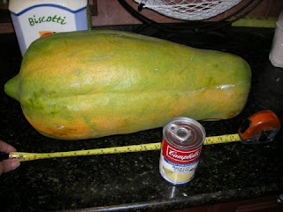 mother of all papayas