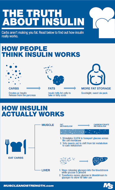 Carbs Aren’t Making You Fat – The Truth About Insulin