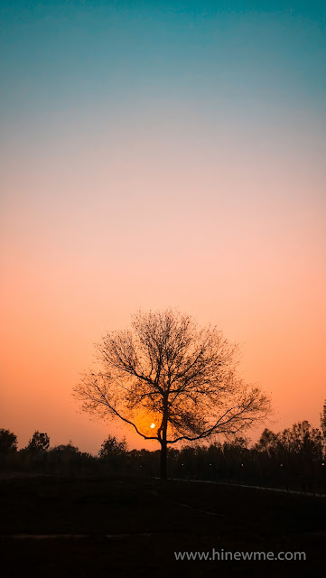 9 Sunset photography pictures, pink style landscape, come to see my photography collection