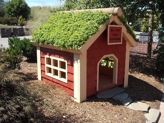 8 casas de cachorro com telhado verde
