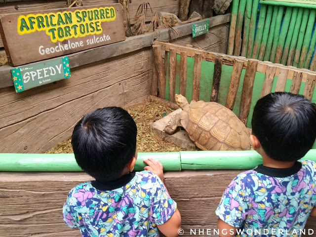 twinboys-at-ark-avilon-zoo