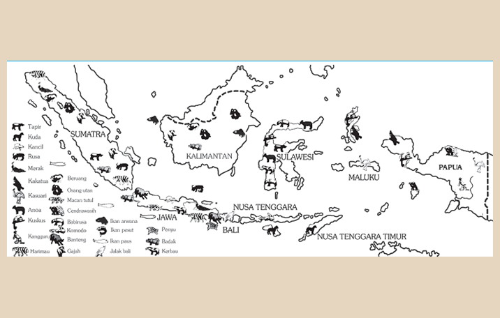 Persebaran Flora dan Fauna  di Indonesia  dan Petanya Riolan
