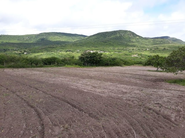 EM JUNHO, SECRETÁRIA DE AGRICULTURA ATENDEU AGRICULTORES ATRAVÉS DO TRABALHO DE ARAÇÃO DE TERRAS EM 53 HECTARES