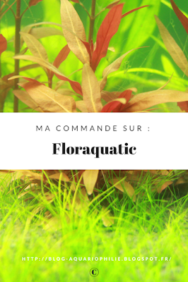 Ma commande chez Floraquatic. 