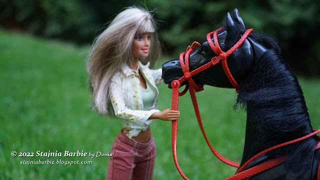 Play BIG horse and Barbie