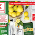 Kaufland Promotii + Catalog-Brosura 11-17.11 2020 → LUNI & MARTI  | Pana la -50% Oferte Kaufland Card