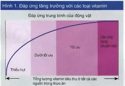 Đáp ứng tăng trưởng với các loại vitamin.