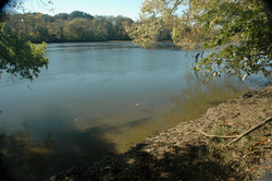 2. French Broad River, Seven Islands Wildlife Refuge