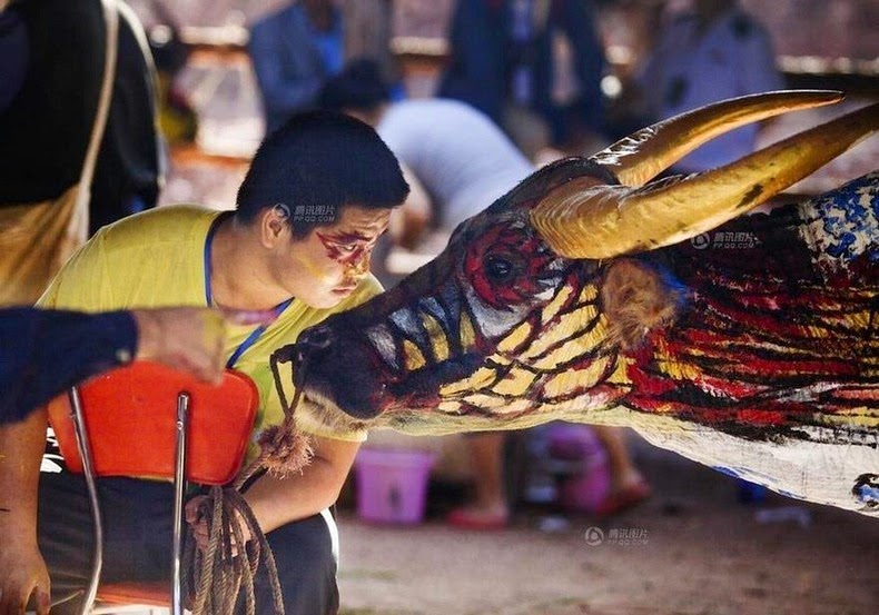 الجاموس-bodypainting-6