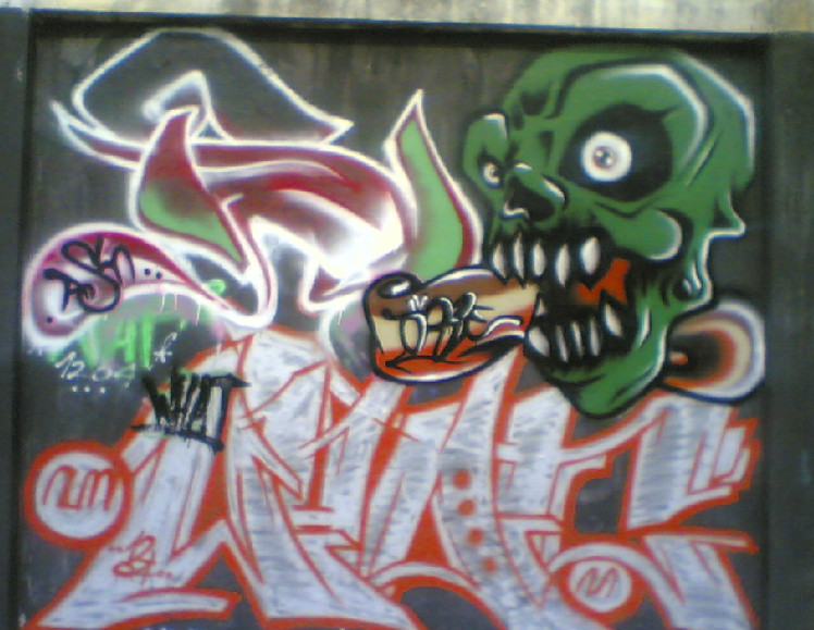 Example Of Skull Graffiti