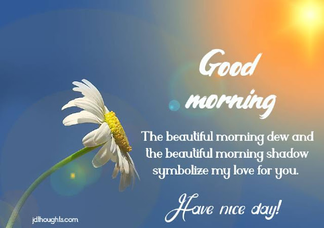 Good Morning beautiful – messages, quotes and wishes with good morning images