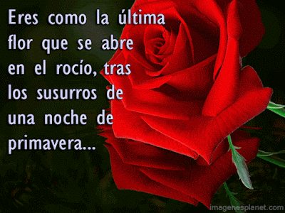 Descargar imágenes de San Valentín  