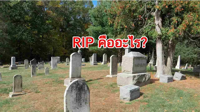 RIP คืออะไร?