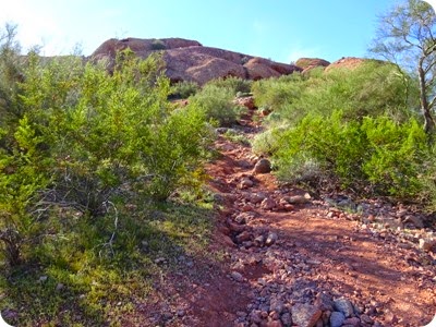 West Park Loop Trail