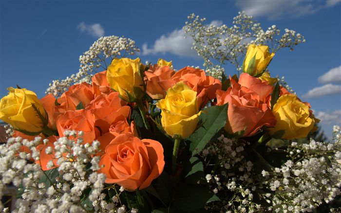 7 types of flowers Orange and Yellow Roses Meaning | 700 x 438