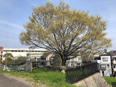 【大阪府寝屋川市】日本最古の築堤・茨田堤碑（まんだのつつみひ）