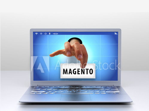 Magento Ecommerce Development Company