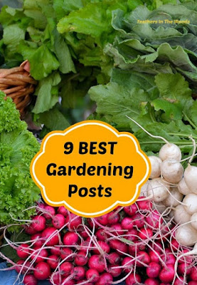 best gardening tips