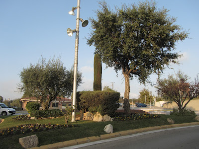 La Bisbal del Penedès a Montserrat; Carretera B-224 i avinguda de Barcelona a Piera