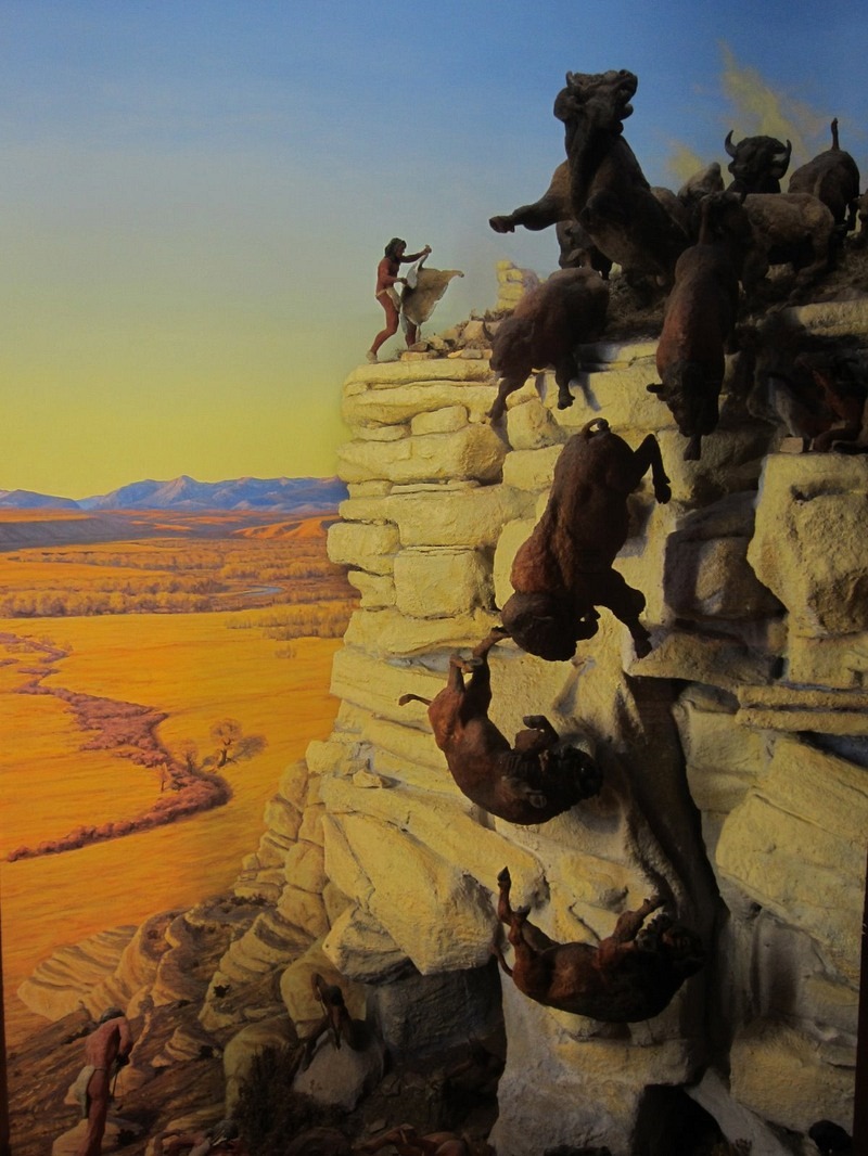 buffalo-jump-4