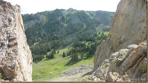 Elephant mountain hike_20090825_165