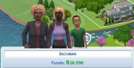 Neighbourhood Play: Bachman Family - Introduction