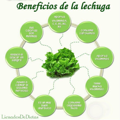 Como hacer jugo de lechuga y sus beneficios