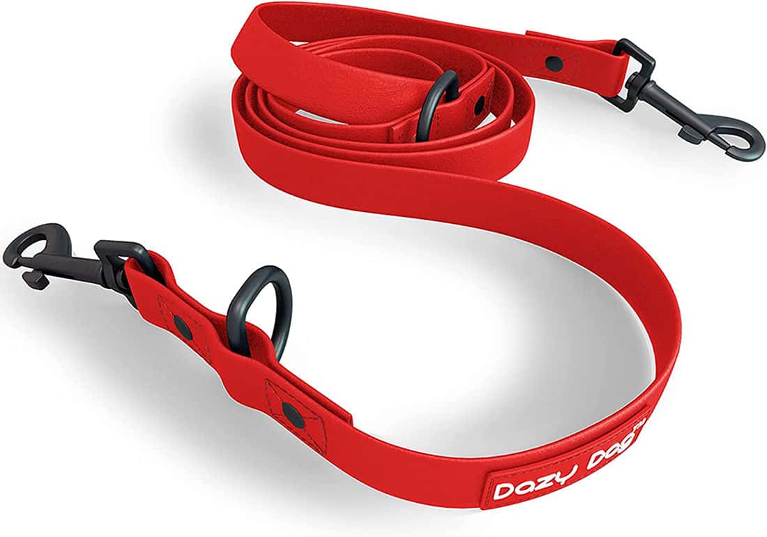 red-leash-for-dogs