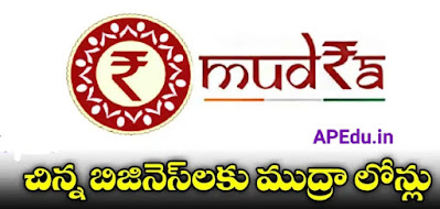 Mudra loans for small businesses