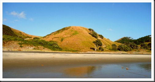 Mangawhai Heads (77)