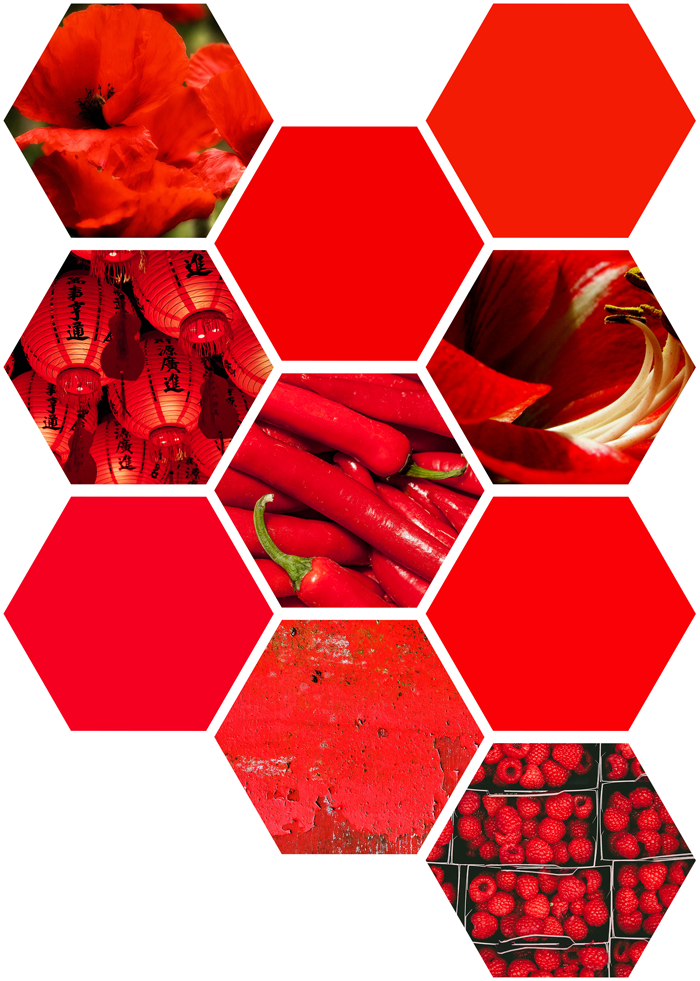 photography, art, nature, old wall, flowers, poppies, dahlia, chinese paper lanterns, collage, mood board, raspberries, bright red