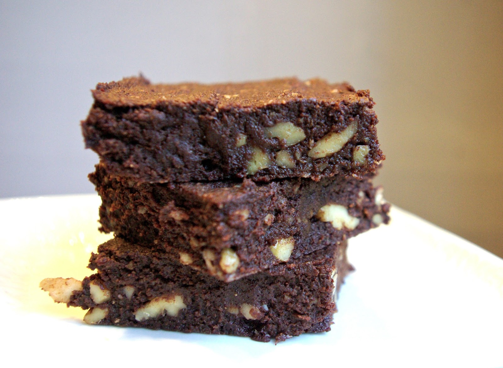 Sciuridae: Coconut Flour Brownies (Primal/Paleo)