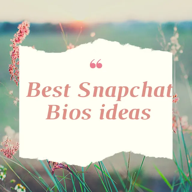 Bio for Snapchat Public Profile
