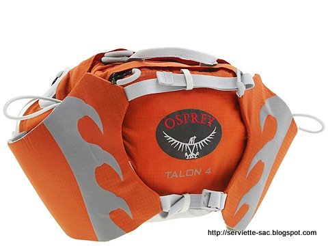 Serviette sac:serviette-1295344