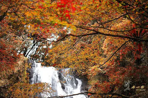 三峽山中樂園